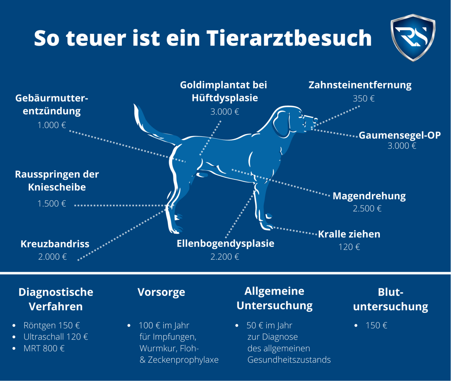 Lohnt Sich Die Hundekrankenversicherung?